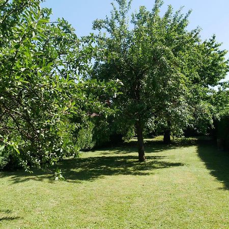 Au Gre Des Chateaux Goxwiller Εξωτερικό φωτογραφία